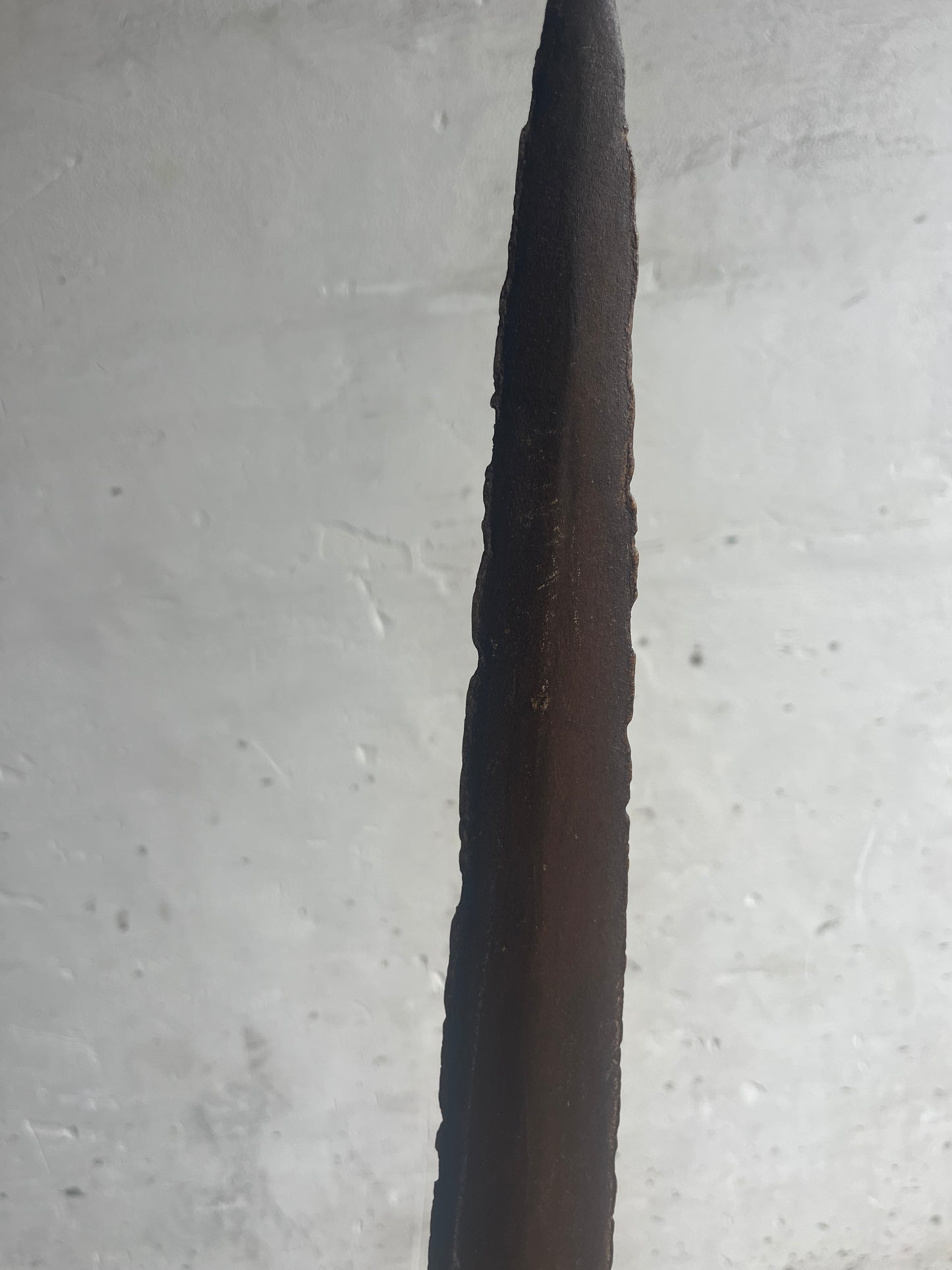 Antique Swordfish Rostrum on Stand – 103 cm Total Height