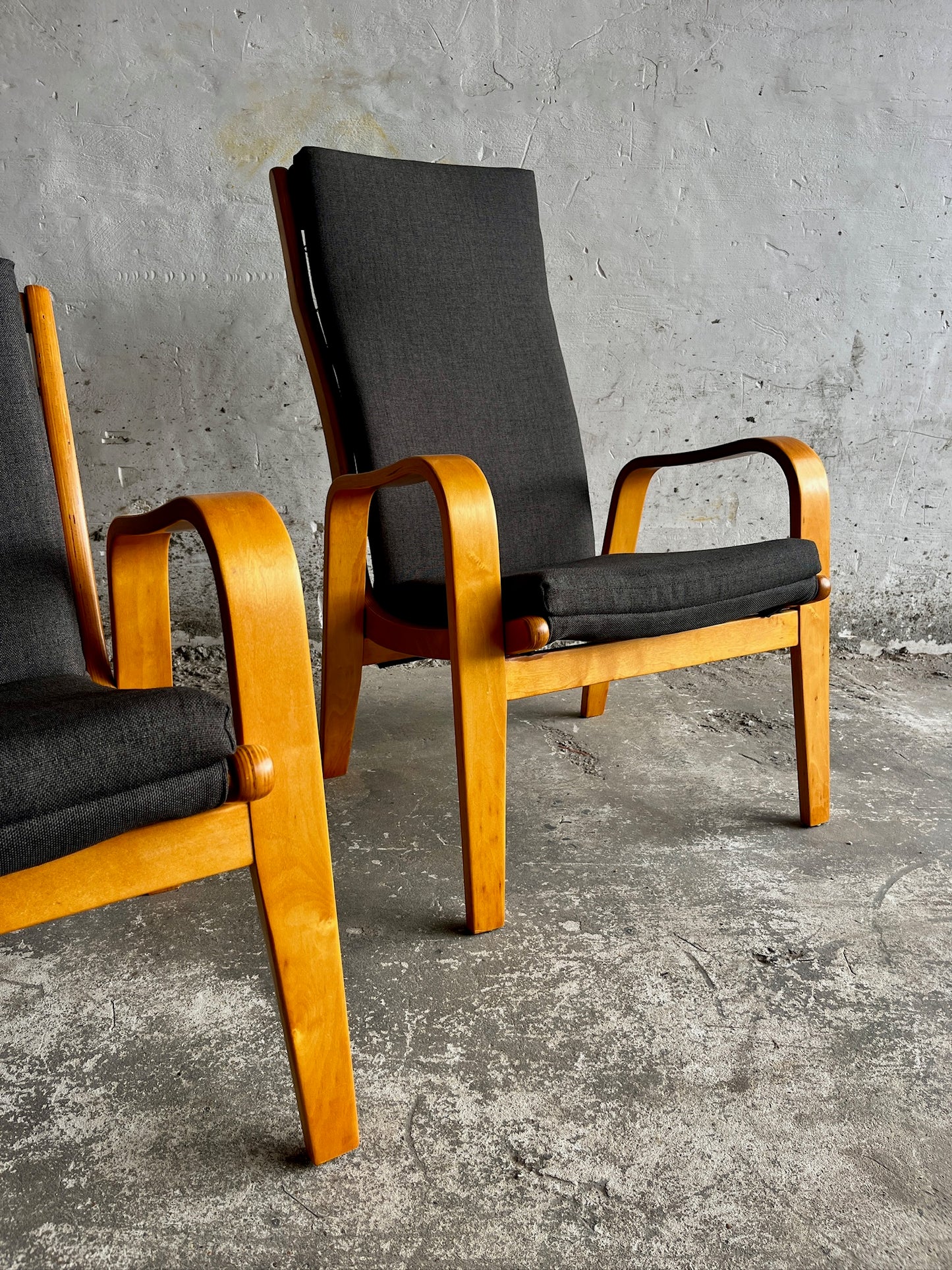 Pair of FB-05 & FB-06 Lounge Chairs by Cees Braakman for Pastoe, 1950s