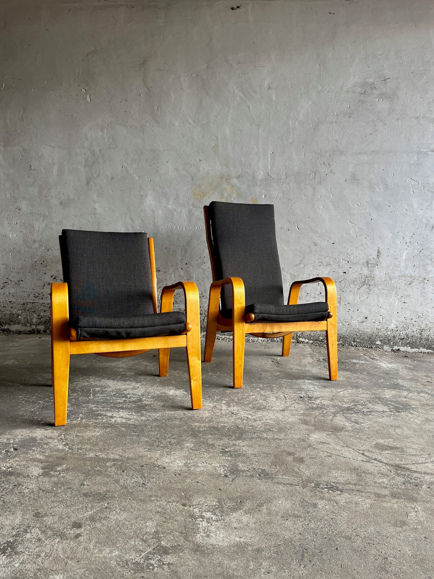 Pair of FB-05 & FB-06 Lounge Chairs by Cees Braakman for Pastoe, 1950s