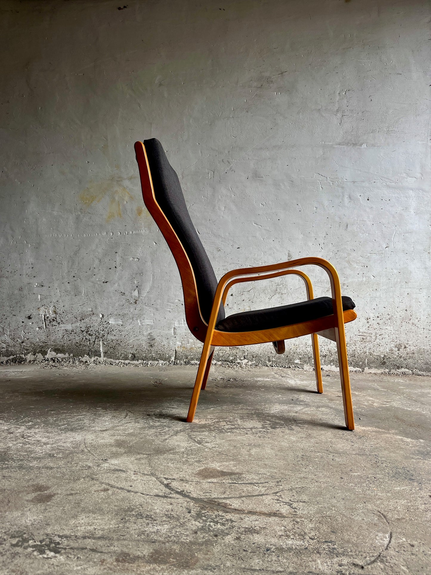 Pair of FB-05 & FB-06 Lounge Chairs by Cees Braakman for Pastoe, 1950s