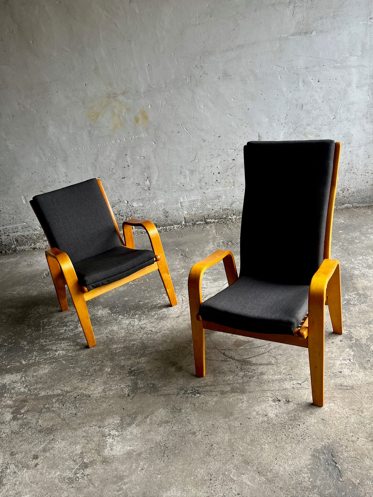 Pair of FB-05 & FB-06 Lounge Chairs by Cees Braakman for Pastoe, 1950s