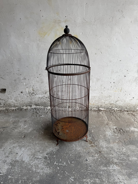 Grande cage à oiseaux vintage en fer avec dessus en forme de dôme