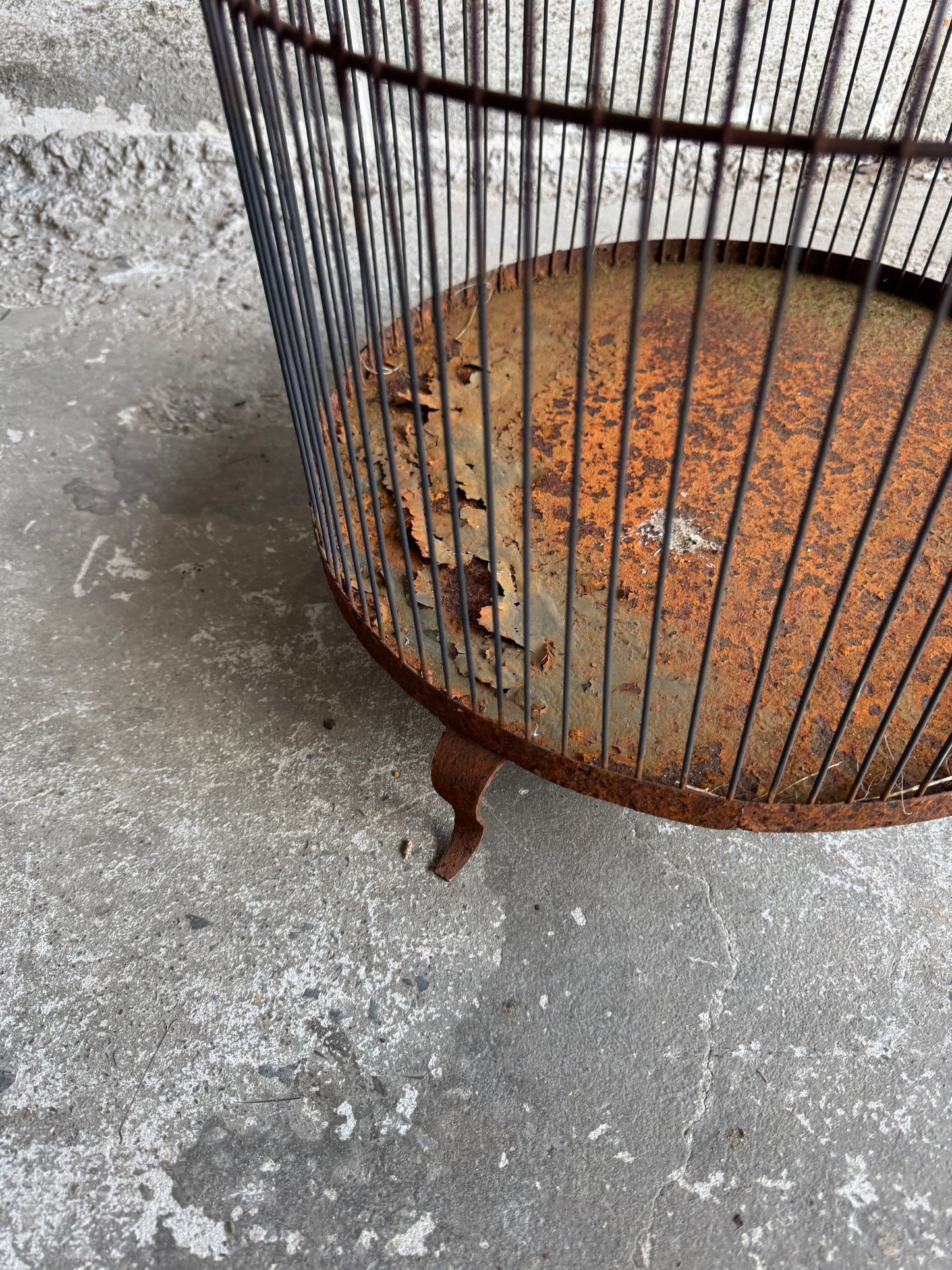 Grande cage à oiseaux vintage en fer avec dessus en forme de dôme