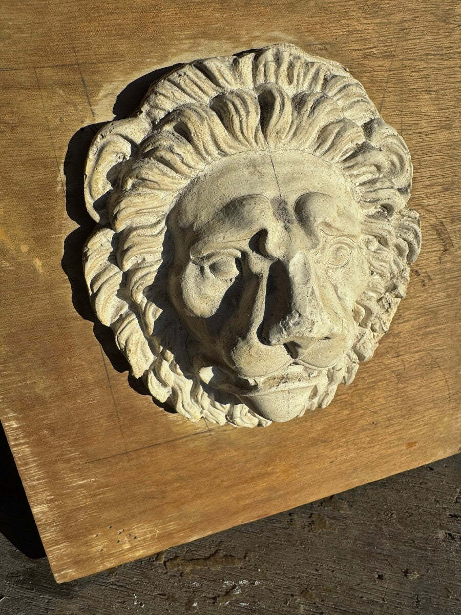 Lion head in plaster by Walter De Buck
