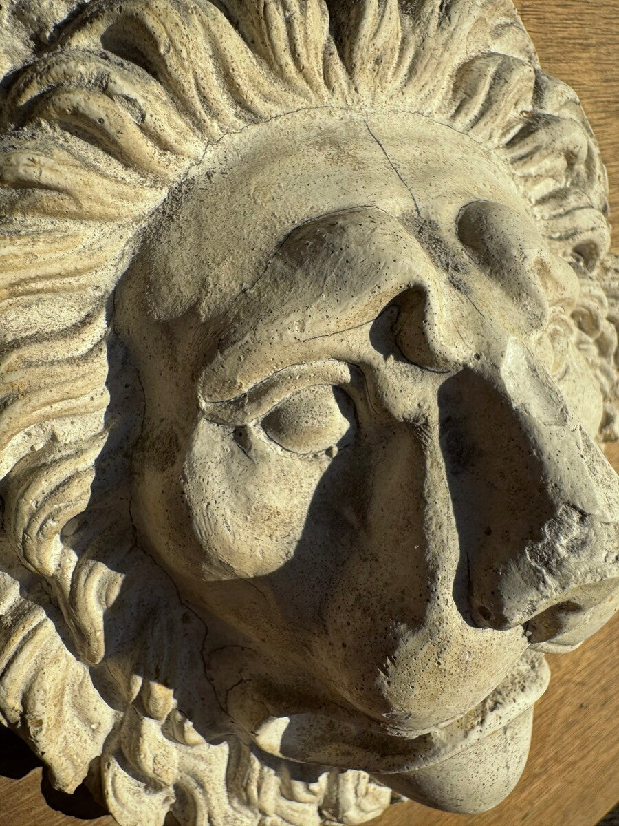 Lion head in plaster by Walter De Buck