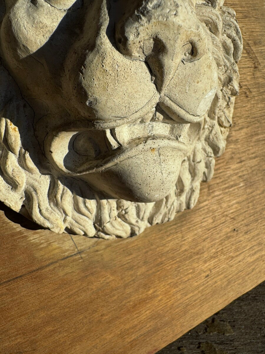 Lion head in plaster by Walter De Buck