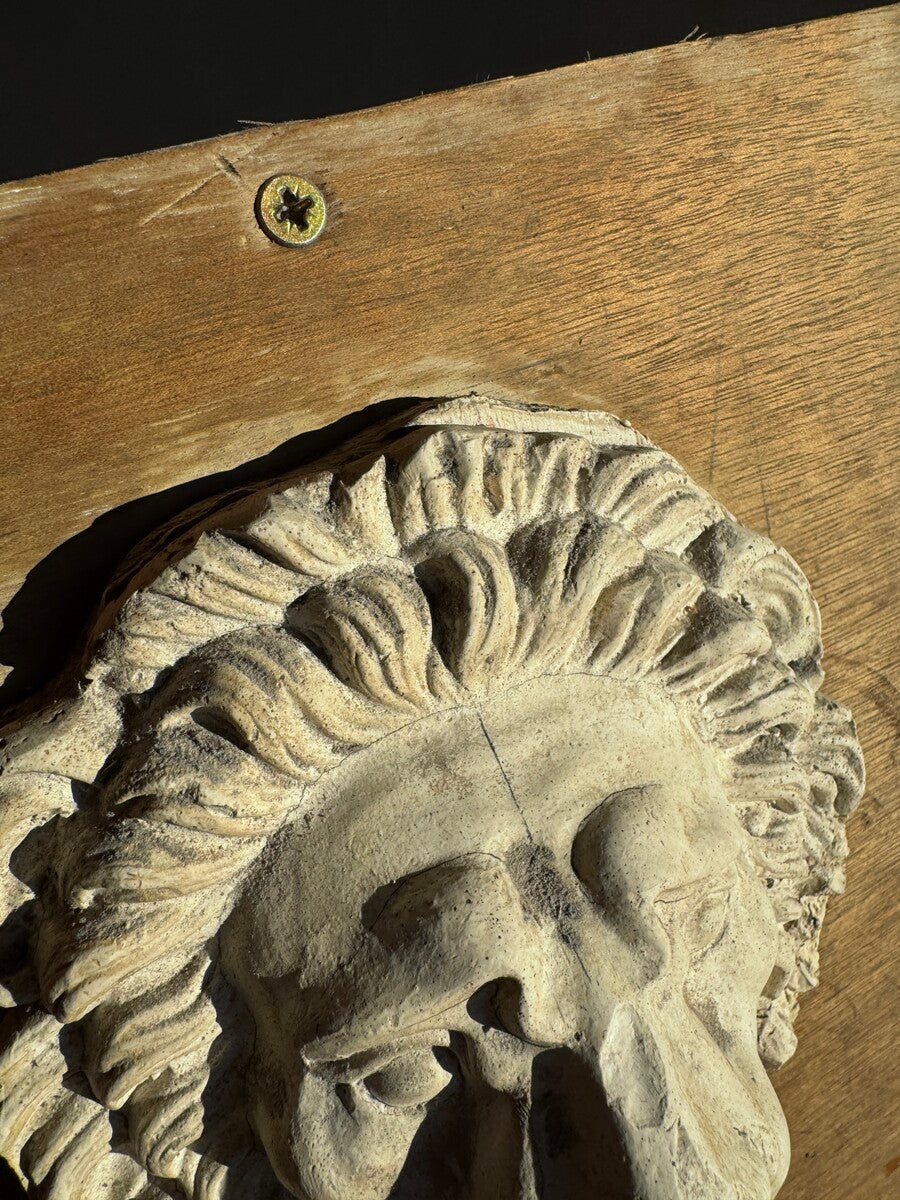 Lion head in plaster by Walter De Buck