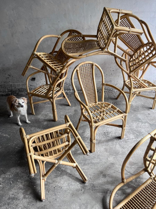 Set Manou rotan stoelen met webbing rugleuning