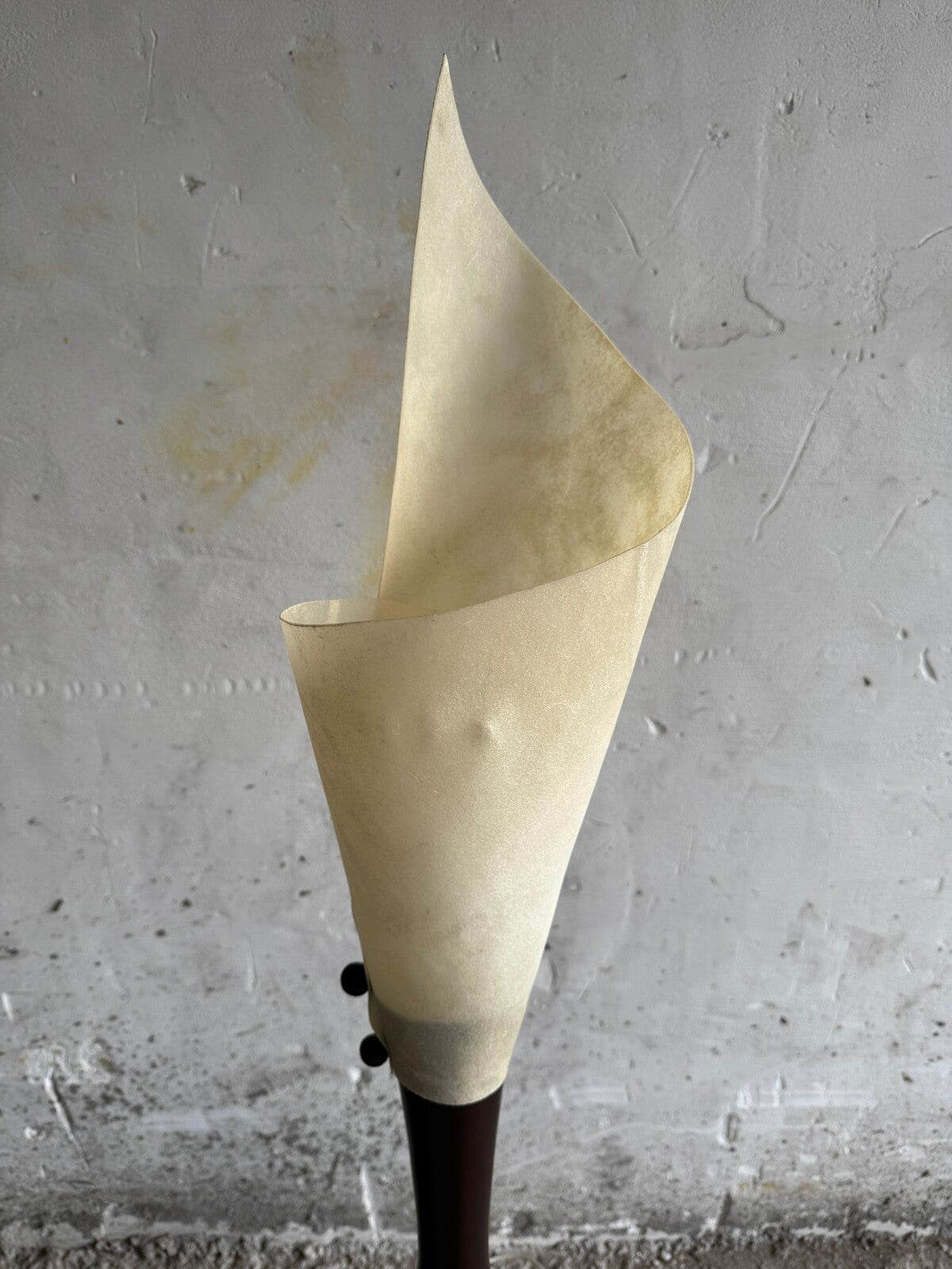 Set van 2 organisch gevormde lampen met rijke houten voet