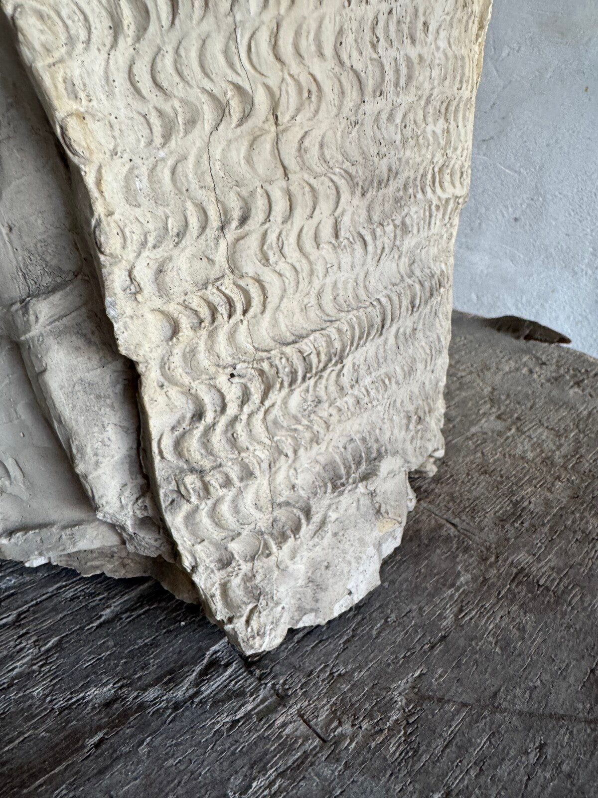 Set of plaster sculptures by Walter De Buck