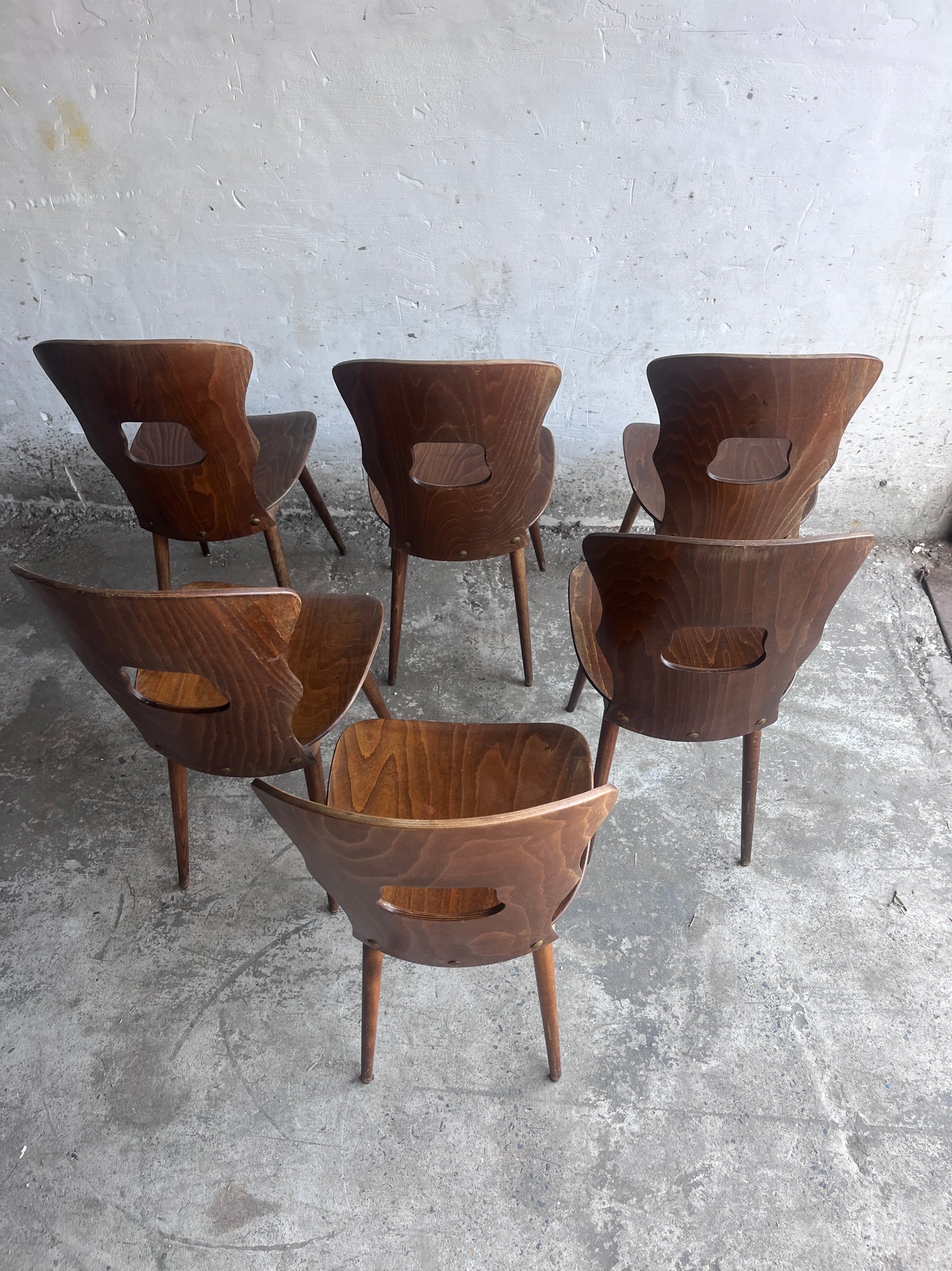 Set of Six Baumann Plywood Dining Chairs, France, 1950s