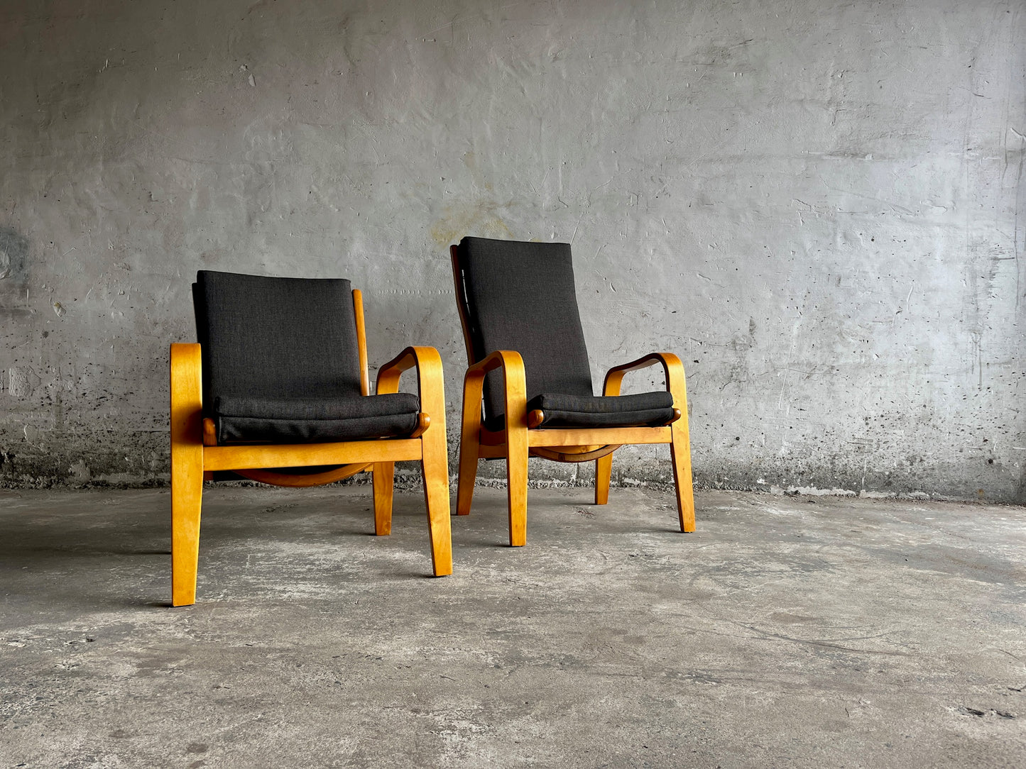 Pair of FB-05 & FB-06 Lounge Chairs by Cees Braakman for Pastoe, 1950s