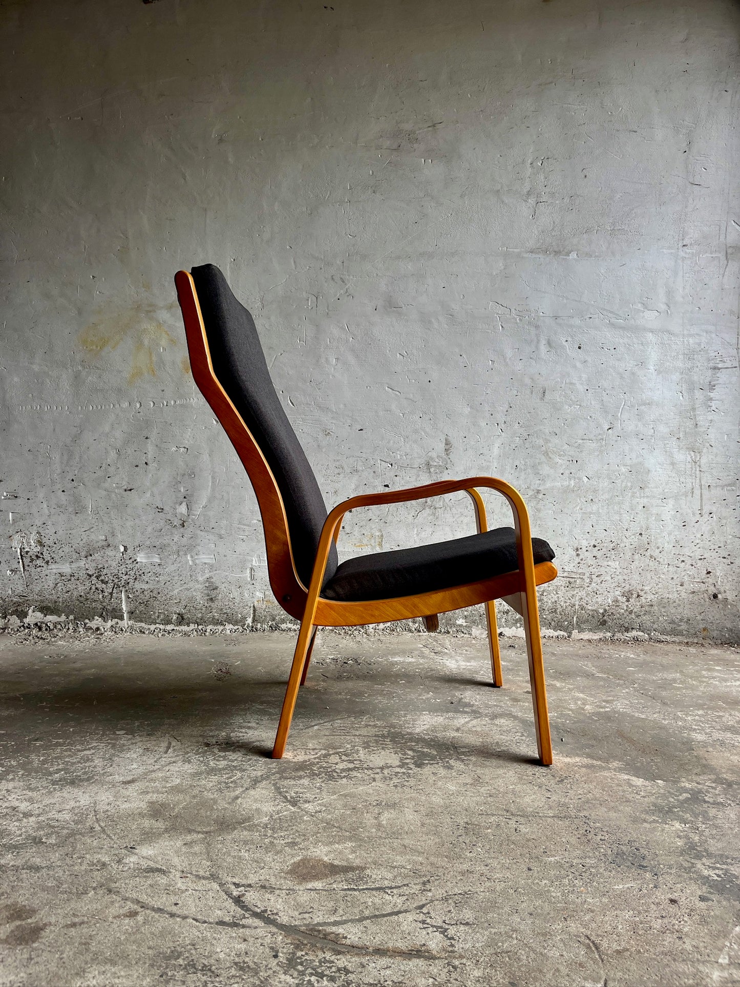 Pair of FB-05 & FB-06 Lounge Chairs by Cees Braakman for Pastoe, 1950s