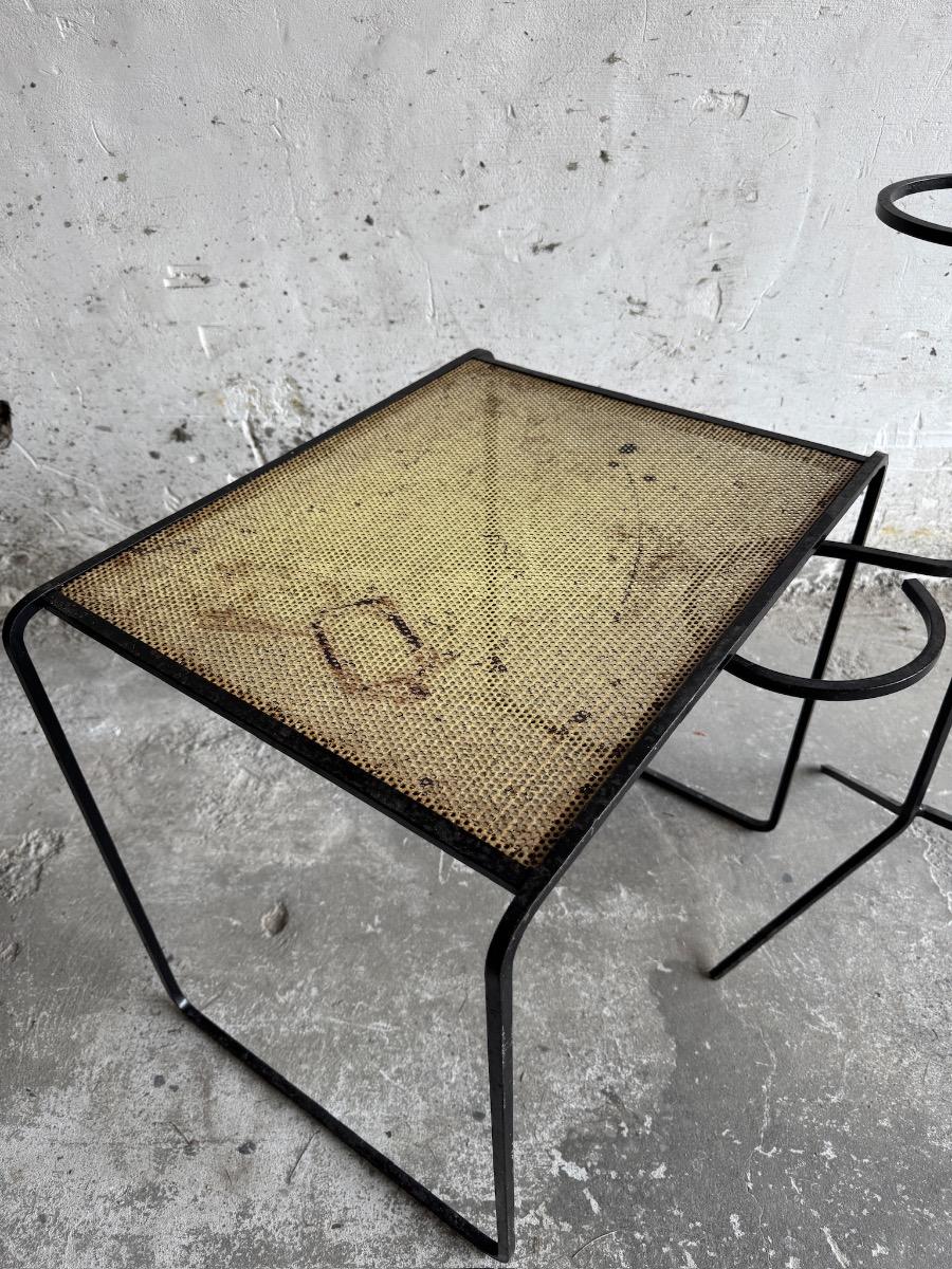 Mid-Century Metal Plant Rack+ Side table by Mathieu Matégot, France, 1950s