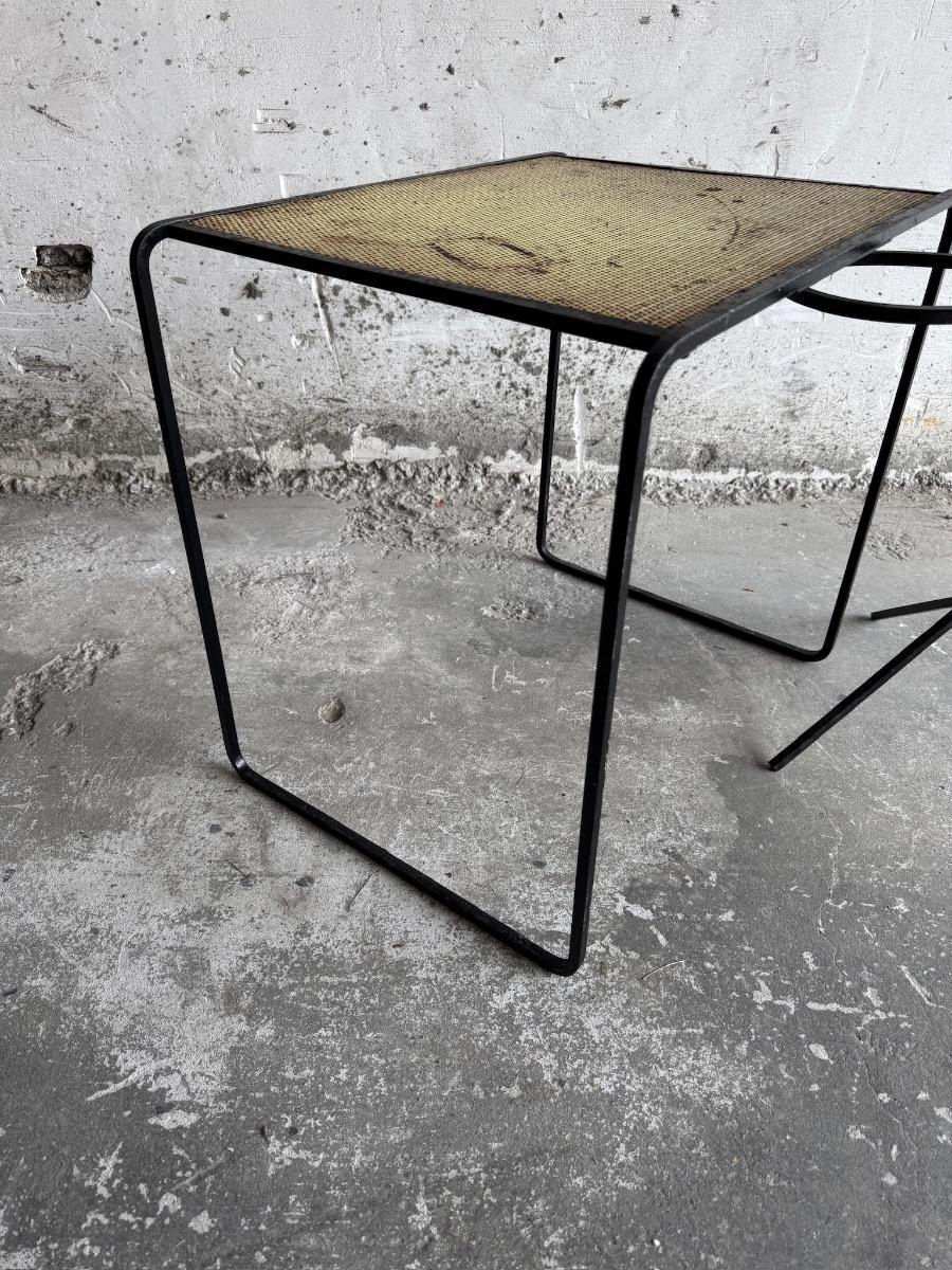 Mid-Century Metal Plant Rack+ Side table by Mathieu Matégot, France, 1950s