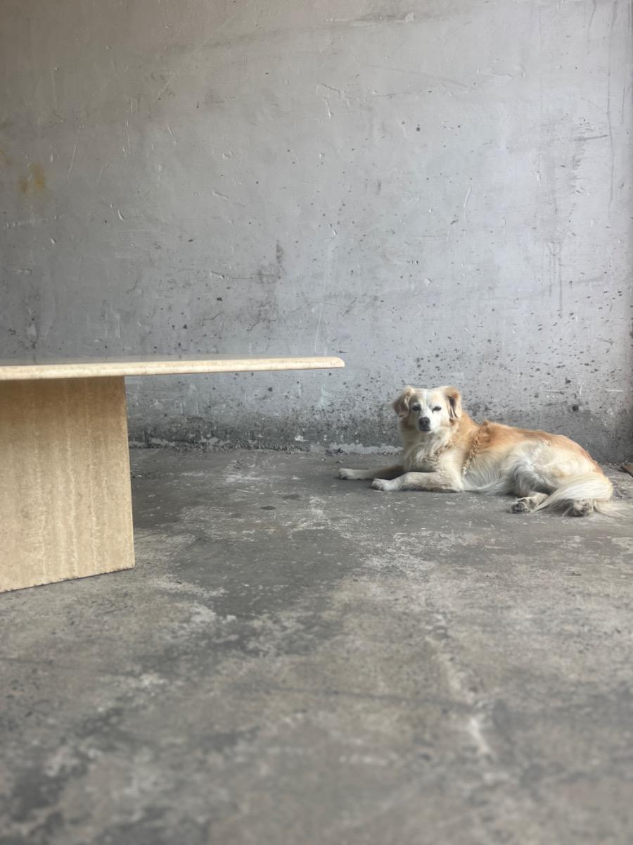 Vintage Italian Travertine Coffee Table, 1960s